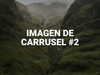 carrusel-img-2